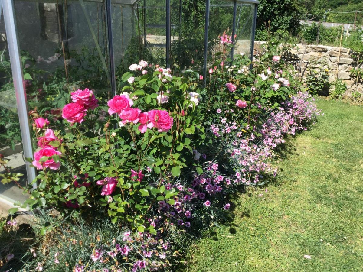 Bed and Breakfast Les Epis Du Vent Adilly Екстер'єр фото